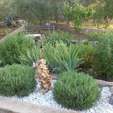 Vlade Lejlighed Raslina