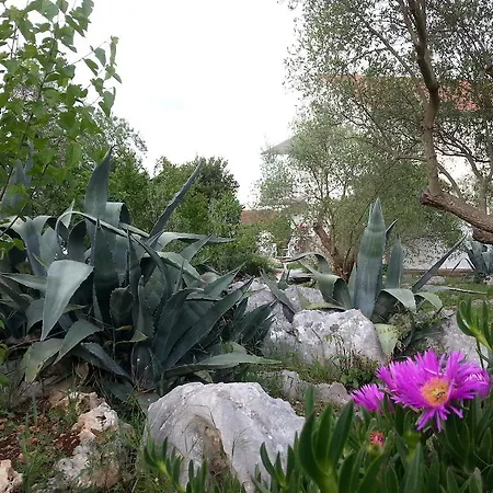 Vlade Lejlighed Raslina